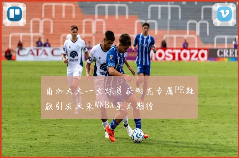 南加大大一女球员获耐克专属PE鞋款引发未来WNBA星光期待