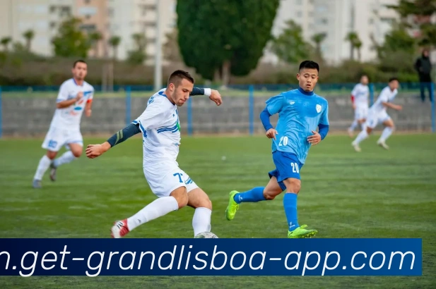 新葡京娱乐APP 封面图